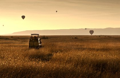 Hot air balloons over the Maasai Mara at sunrise