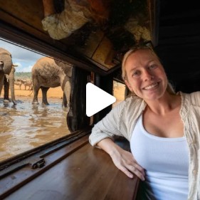 Guest smiling beside a train-style window with elephants outside