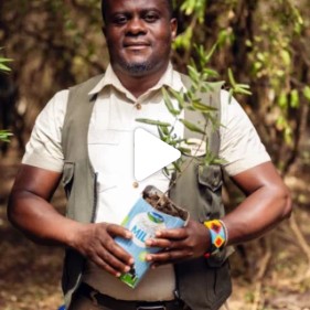 Soroi guide holding a seedling for a tree-planting day