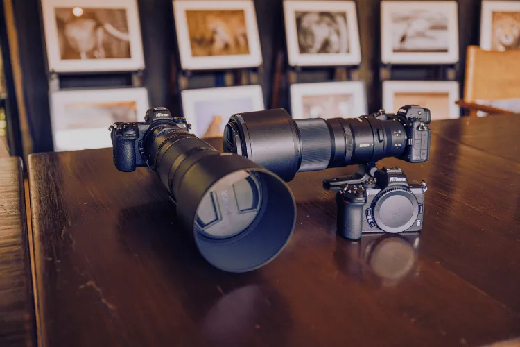 Nikon Camera Rental