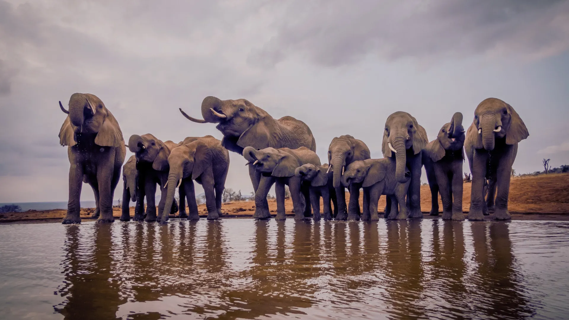 Lumo Conservancy Hide photo 1
