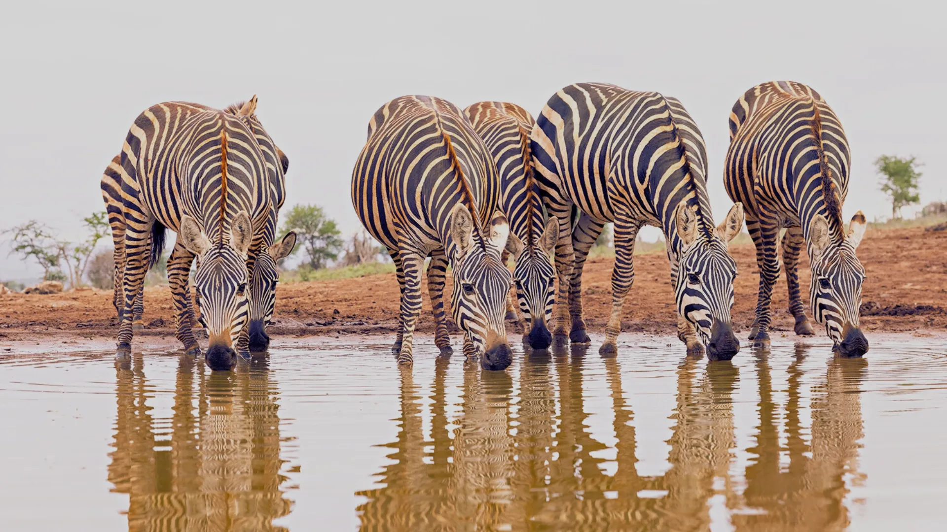Lumo Conservancy Hide photo 5
