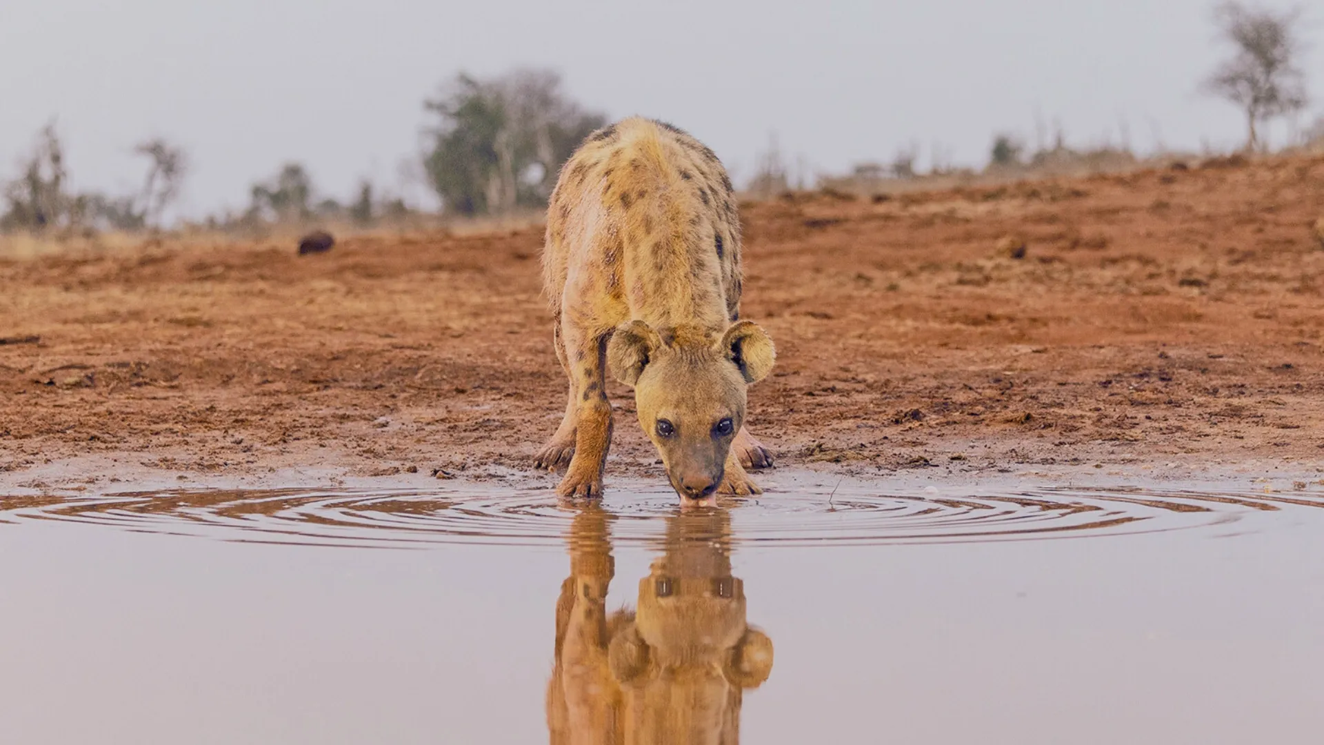 Lumo Conservancy Hide photo 6