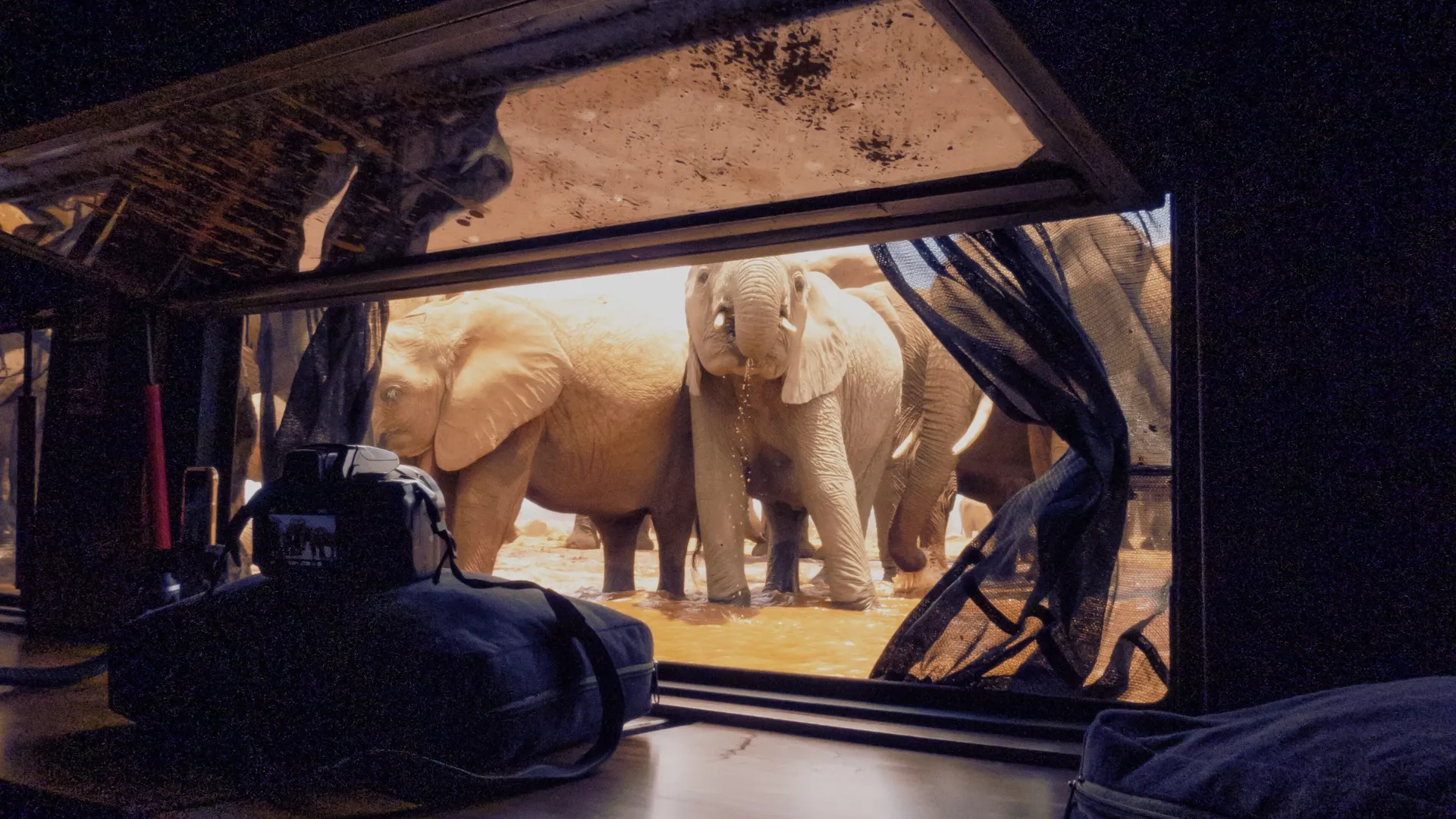 Photographic hide