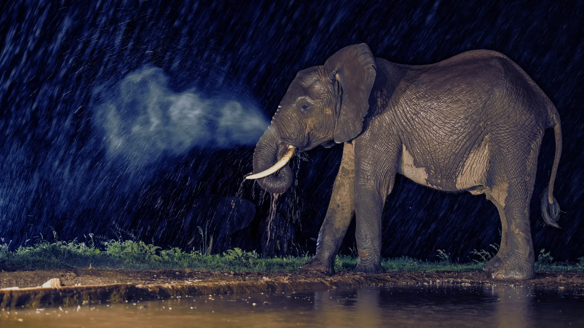 Lumo Conservancy Hide photo 11