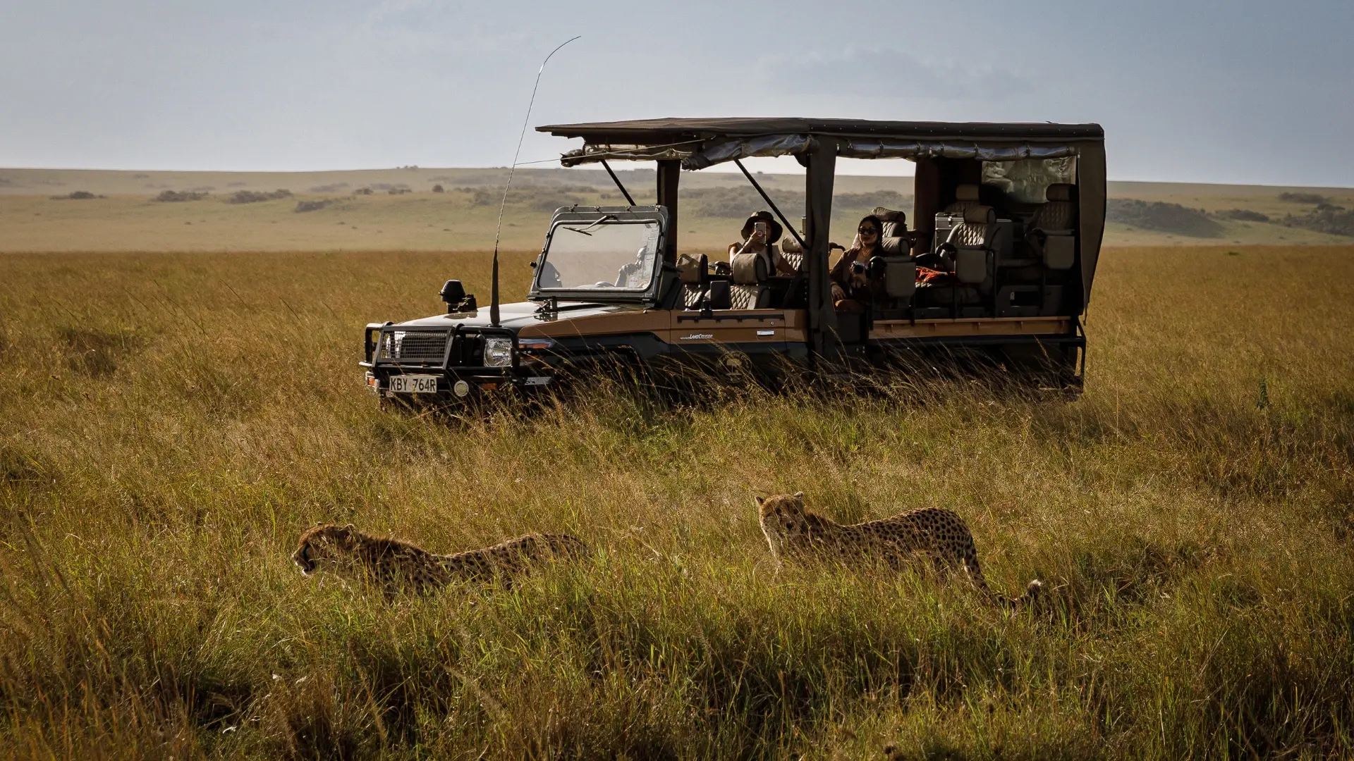 Safari landscape in the Maasai Mara