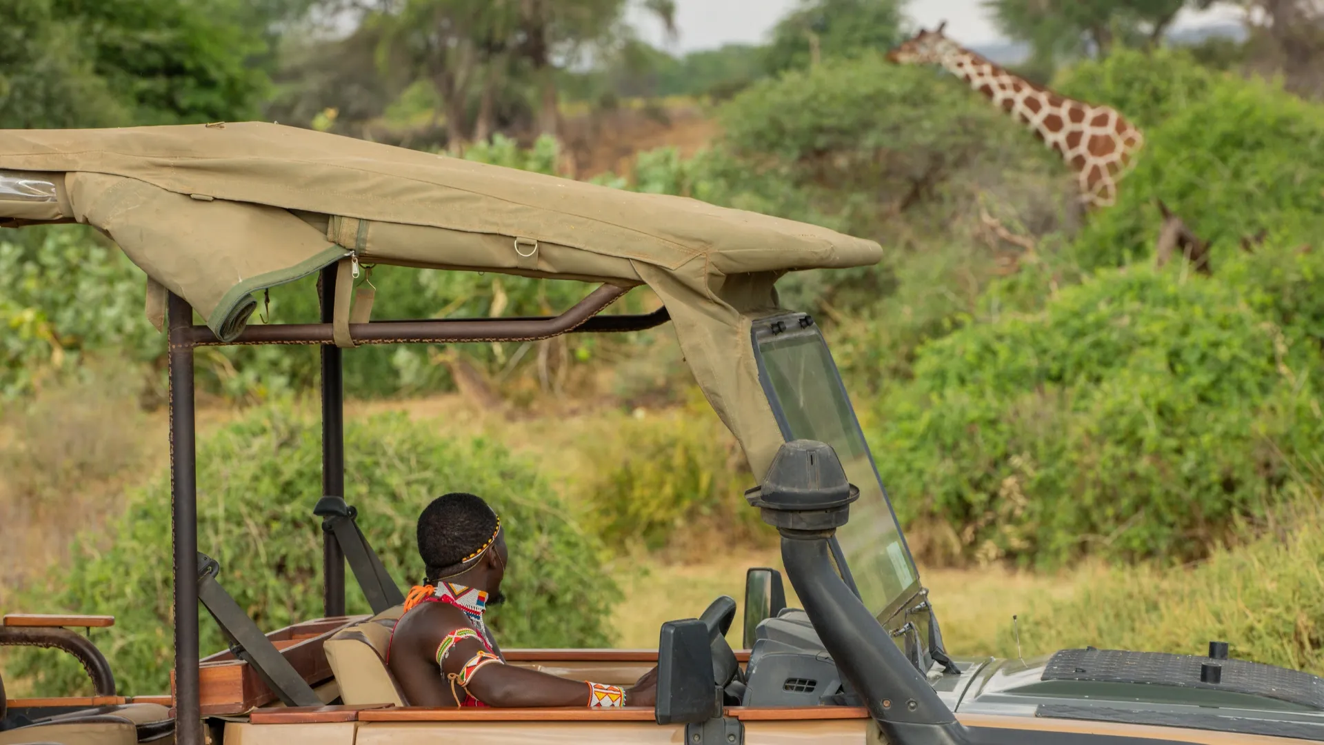 Guided Game Drives at Soroi Samburu Lodge