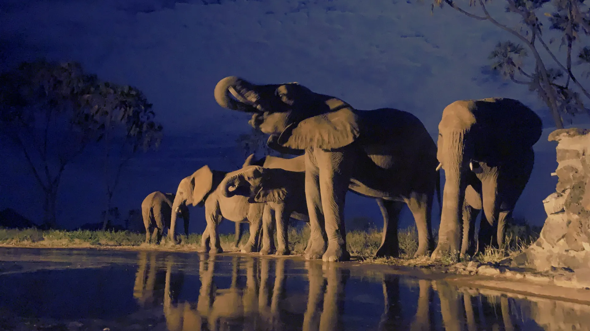 Samburu Photo Hide