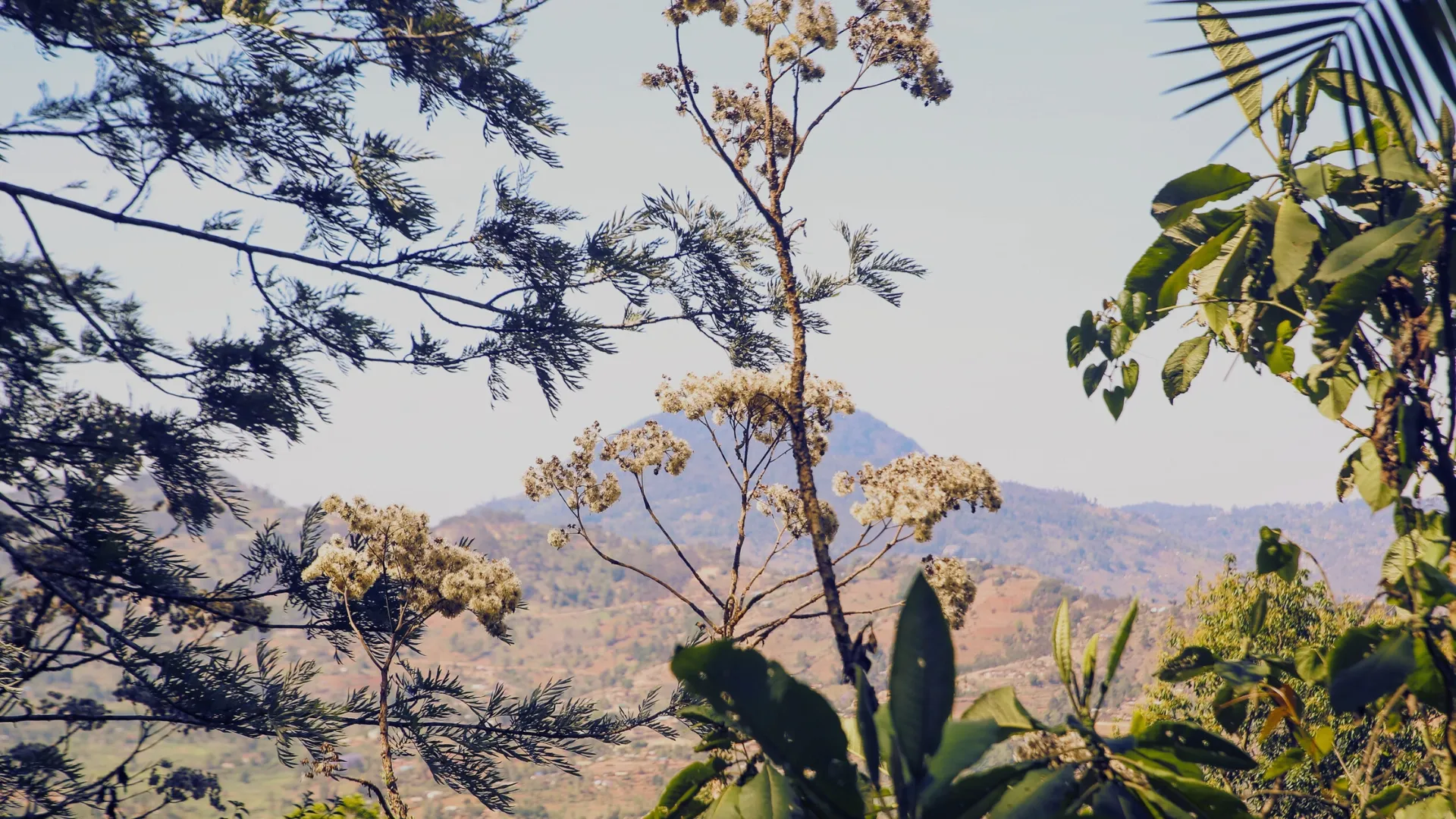 Hike Taita Hills at Soroi Lions Bluff Lodge