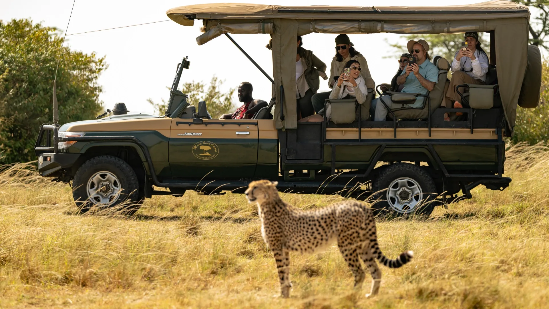 Soroi Luxury Migration Camp