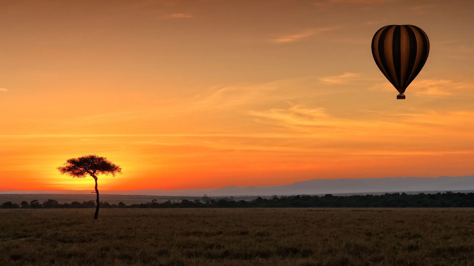 Hot air balloons over the Maasai Mara at sunrise