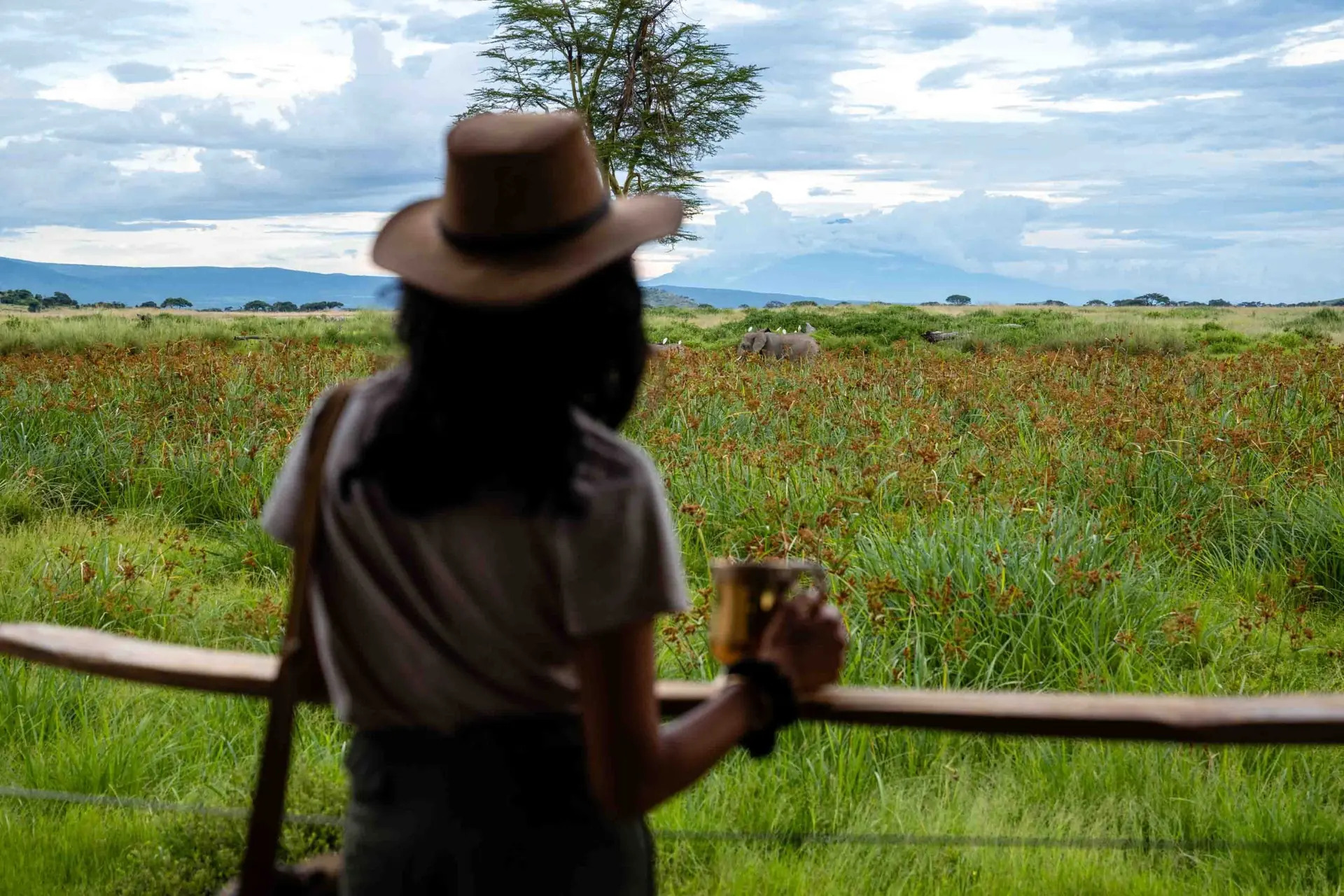 Photograph of Amboseli