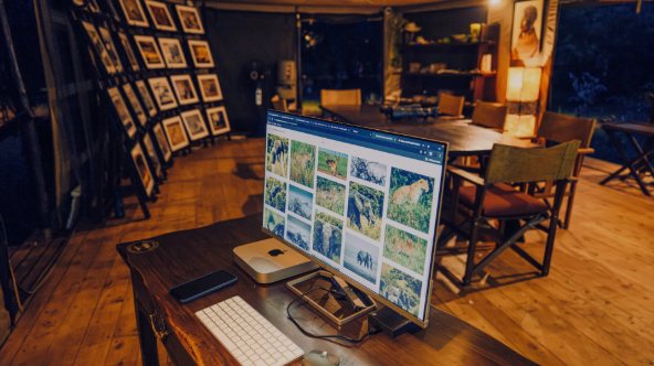 Editing workstation showing a grid of wildlife photographs
